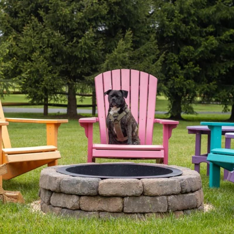 Fenced Yard Chalets From Good Dog Vacations At Big Valley Resort Sciota 외부 사진