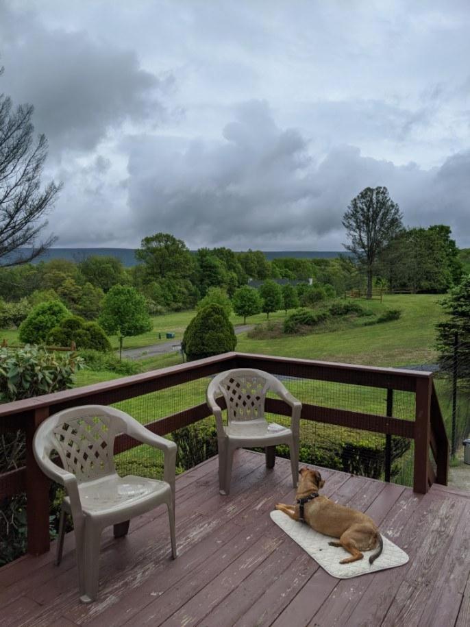 Fenced Yard Chalets From Good Dog Vacations At Big Valley Resort Sciota 외부 사진